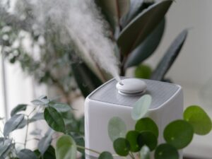 Humidifier